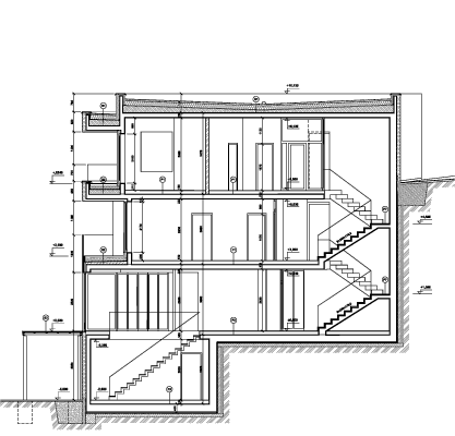 longitudinal section